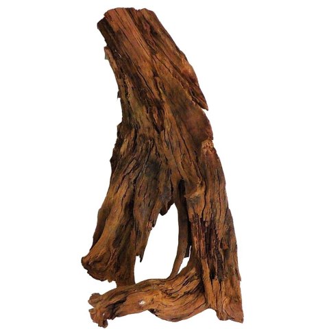 Philippines Classic Driftwood - drzewo mangrowca z wody XXL 70cm - 110cm Philippines Classic Driftwood - drzewo mangrowca z wody XXL 70cm - 110cm