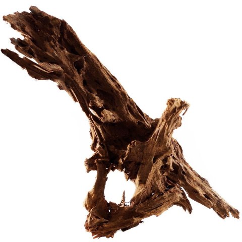 Philippines Classic Driftwood - drzewo mangrowca z wody XXL 70cm - 110cm Philippines Classic Driftwood - drzewo mangrowca z wody XXL 70cm - 110cm