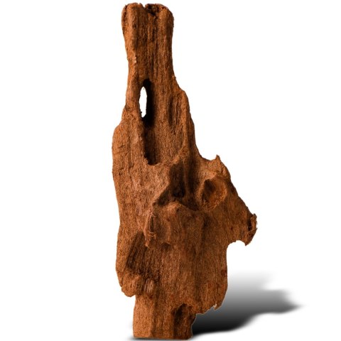Philippines Classic Driftwood - drzewo mangrowca z wody XXS ok.10cm Philippines Classic Driftwood - drzewo mangrowca z wody XXS ok.10cm