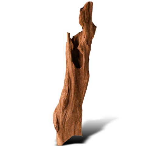 Philippines Classic Driftwood - drzewo mangrowca z wody XXS ok.10cm Philippines Classic Driftwood - drzewo mangrowca z wody XXS ok.10cm