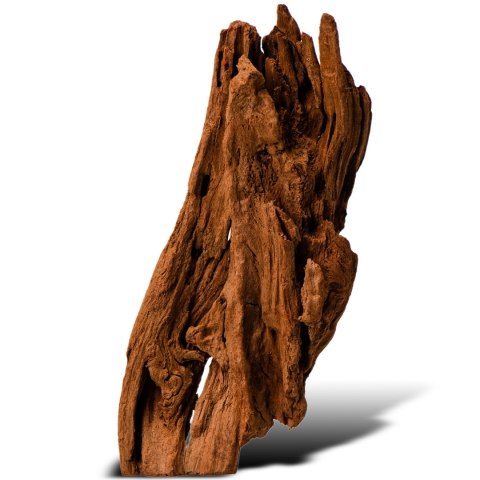 Philippines Classic Driftwood - drzewo mangrowca z wody XS ok.16cm Philippines Classic Driftwood - drzewo mangrowca z wody XS ok.16cm