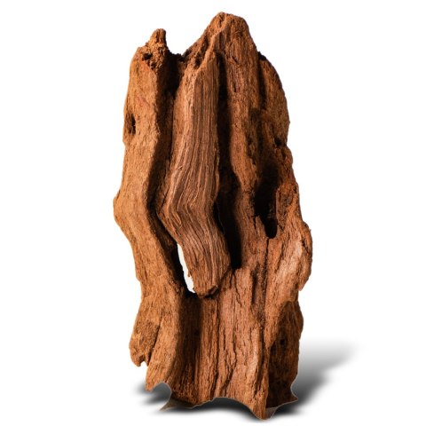 Philippines Classic Driftwood - drzewo mangrowca z wody XS ok.16cm Philippines Classic Driftwood - drzewo mangrowca z wody XS ok.16cm