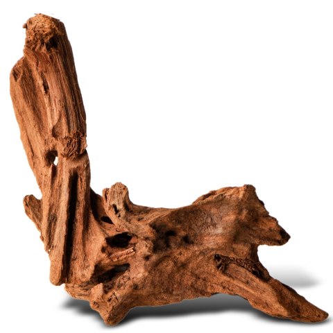 Philippines Classic Driftwood - drzewo mangrowca z wody XS ok.16cm Philippines Classic Driftwood - drzewo mangrowca z wody XS ok.16cm