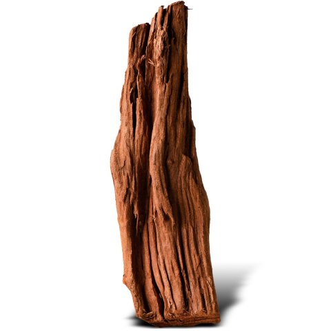 Philippines Classic Driftwood - drzewo mangrowca z wody XS ok.16cm Philippines Classic Driftwood - drzewo mangrowca z wody XS ok.16cm