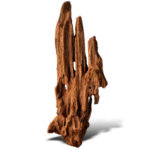 Philippines Classic Driftwood - drzewo mangrowca z wody XS ok.16cm Philippines Classic Driftwood - drzewo mangrowca z wody XS ok.16cm