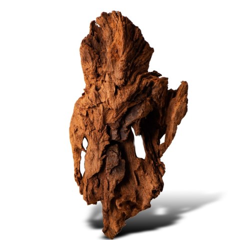 Philippines Classic Driftwood - drzewo mangrowca z wody XS ok.16cm Philippines Classic Driftwood - drzewo mangrowca z wody XS ok.16cm
