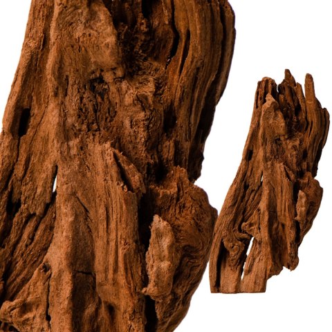 Philippines Classic Driftwood - drzewo mangrowca z wody XS ok.16cm Philippines Classic Driftwood - drzewo mangrowca z wody XS ok.16cm