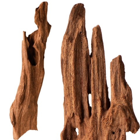 Philippines Classic Driftwood - drzewo mangrowca z wody XS ok.16cm Philippines Classic Driftwood - drzewo mangrowca z wody XS ok.16cm