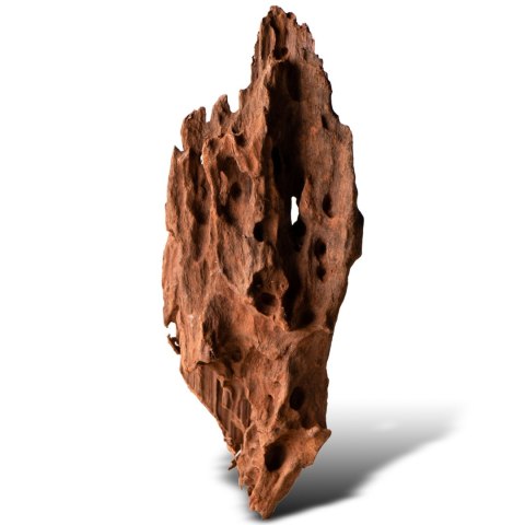 Philippines Classic Driftwood - drzewo mangrowca z wody S ok.20cm Philippines Classic Driftwood - drzewo mangrowca z wody S ok.20cm