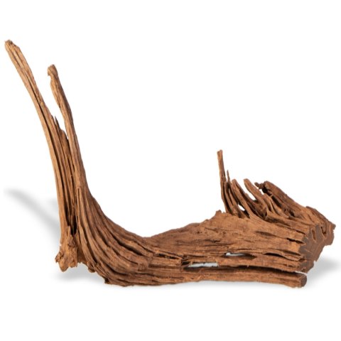 Philippines Classic Driftwood - drzewo mangrowca z wody S ok.20cm Philippines Classic Driftwood - drzewo mangrowca z wody S ok.20cm