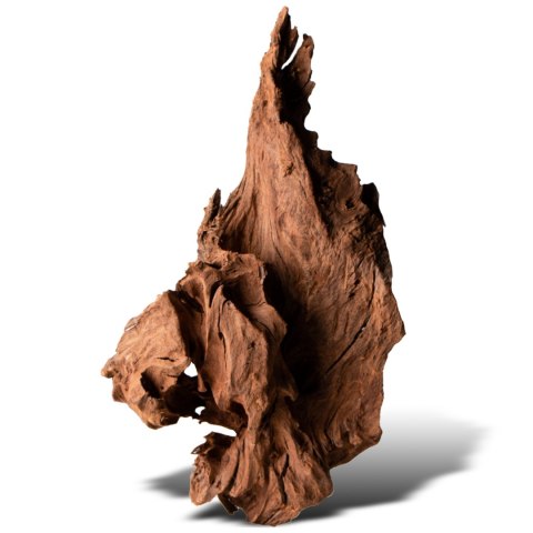Philippines Classic Driftwood - drzewo mangrowca z wody S ok.20cm Philippines Classic Driftwood - drzewo mangrowca z wody S ok.20cm