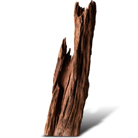 Philippines Classic Driftwood - drzewo mangrowca z wody S ok.20cm Philippines Classic Driftwood - drzewo mangrowca z wody S ok.20cm