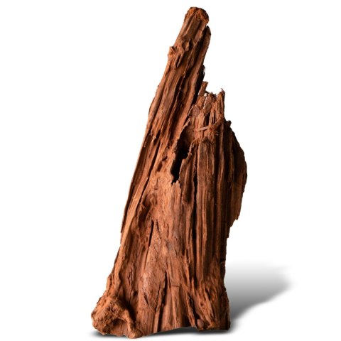 Philippines Classic Driftwood - drzewo mangrowca z wody S ok.20cm Philippines Classic Driftwood - drzewo mangrowca z wody S ok.20cm