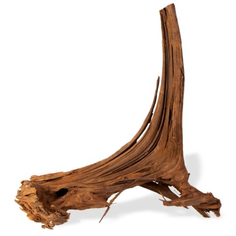 Philippines Classic Driftwood - drzewo mangrowca z wody S ok.20cm Philippines Classic Driftwood - drzewo mangrowca z wody S ok.20cm