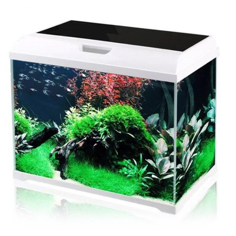 SunSun Supreme AquaPlant 40l - zestaw akwarium SunSun Supreme AquaPlant 40l - zestaw akwarium