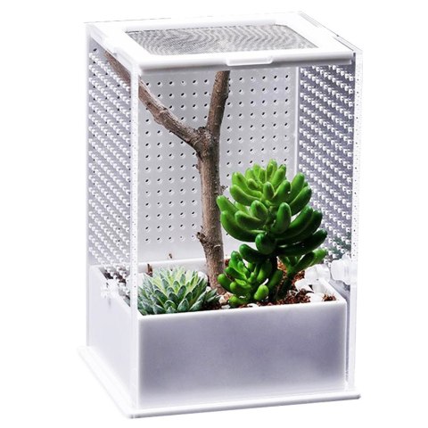 Repti-Zoo Mantis Box L - terrarium akrylowe dla modliszek Repti-Zoo Mantis Box L - terrarium akrylowe dla modliszek