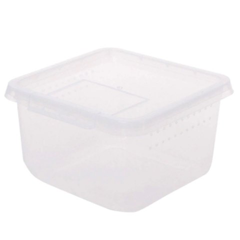 Terrario Insect Box Compact 12x12x7cm Terrario Insect Box Compact 12x12x7cm