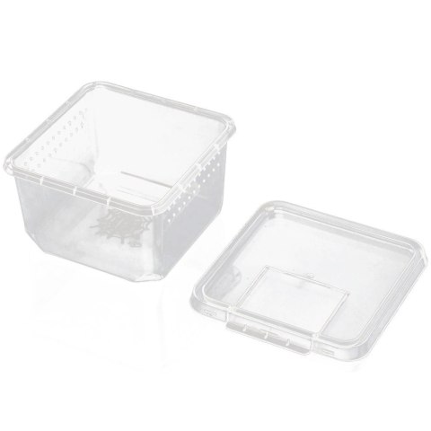 Terrario Insect Box Compact 12x12x7cm Terrario Insect Box Compact 12x12x7cm