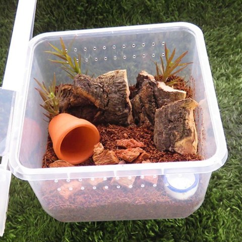 Terrario Insect Box Compact 12x12x7cm Terrario Insect Box Compact 12x12x7cm