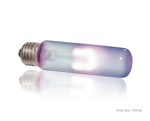 Exo Terra Sun-Glo 25W - żarówka dzienna Exo Terra Sun-Glo 25W - żarówka dzienna