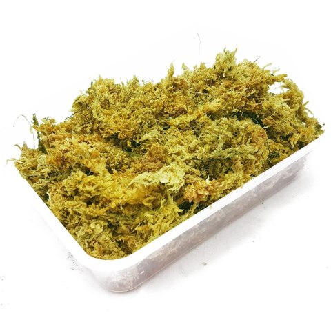 Repti-Zoo Chile's Sphagnum moss - mech torowiec 4,5l Repti-Zoo Chile's Sphagnum moss - mech torowiec 4,5l