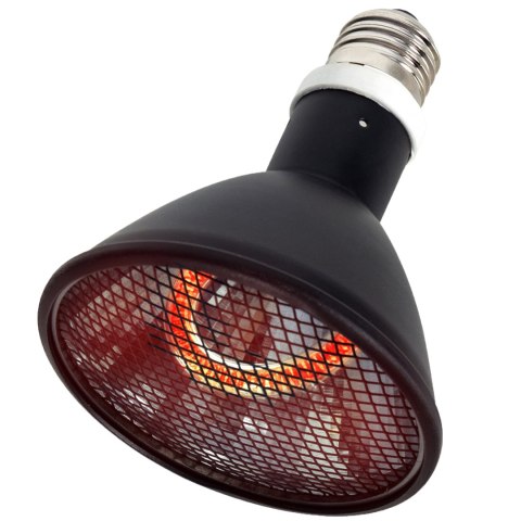 Repti-Zoo Deep Heater 50W - promiennik ciepła Repti-Zoo Deep Heater 50W - promiennik ciepła