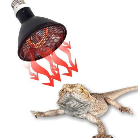 Repti-Zoo Deep Heater 50W - promiennik ciepła Repti-Zoo Deep Heater 50W - promiennik ciepła