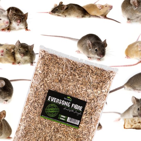 Terrario Eversong Fibre Chips 5l - zrębki z słomy konopnej Terrario Eversong Fibre Chips 5l - zrębki z słomy konopnej