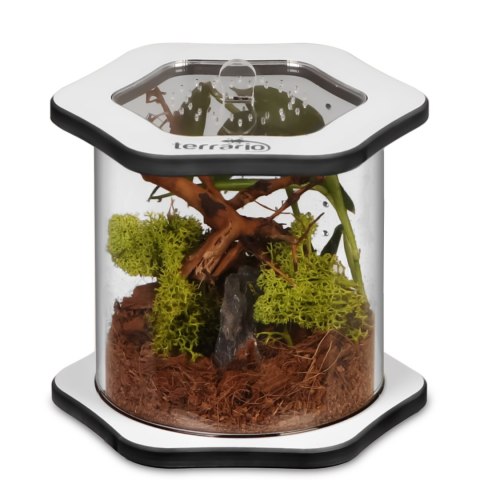 Terrario Spiders Tube Med100 - terrarium akrylowe Terrario Spiders Tube Med100 - terrarium akrylowe