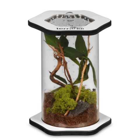 Terrario Spiders Tube Tall100 - terrarium akrylowe Terrario Spiders Tube Tall100 - terrarium akrylowe