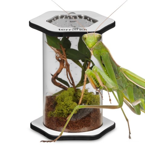 Terrario Spiders Tube Tall100 - terrarium akrylowe Terrario Spiders Tube Tall100 - terrarium akrylowe