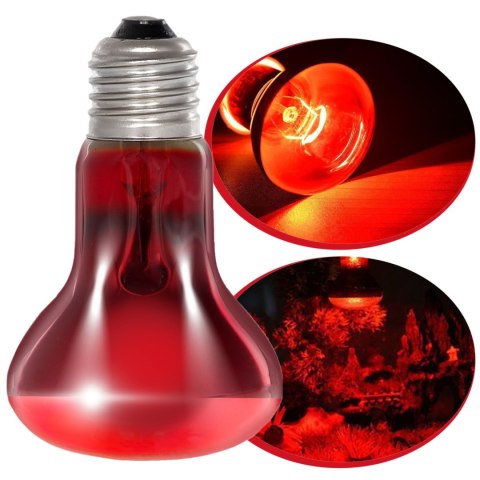 Repti-Zoo Infrared Basking Spot 50W - żarówka grzewcza podczerwona Repti-Zoo Infrared Basking Spot 50W - żarówka grzewcza podczerwona