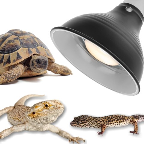Resun Reptile Lamp & Hold - lampa do terrarium z uchwytem Resun Reptile Lamp & Hold - lampa do terrarium z uchwytem
