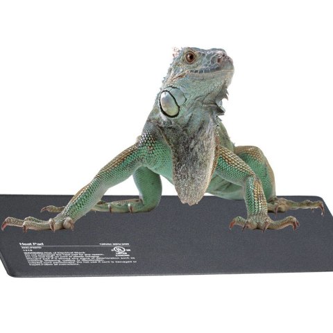 Terrario Repti-Pad PVC 30W - wodoodporna mata grzewcza Terrario Repti-Pad PVC 30W - wodoodporna mata grzewcza