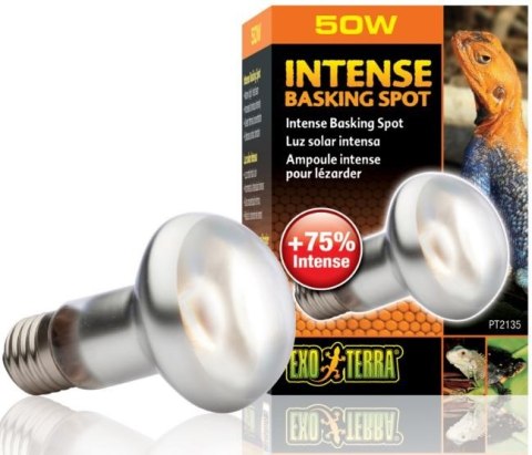 EXO TERRA Intense Basking Spot 50W (żarówka grzewcza) EXO TERRA Intense Basking Spot 50W (żarówka grzewcza)