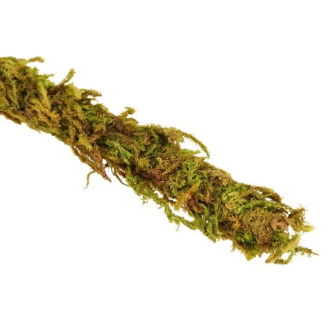 Repti-Zoo Liana z naturalnym mchem 1,5cm x 2m Repti-Zoo Liana z naturalnym mchem 1,5cm x 2m