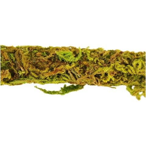 Repti-Zoo Liana z naturalnym mchem 1,5cm x 2m Repti-Zoo Liana z naturalnym mchem 1,5cm x 2m