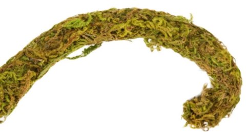 Repti-Zoo Liana z naturalnym mchem 1,5cm x 2m Repti-Zoo Liana z naturalnym mchem 1,5cm x 2m