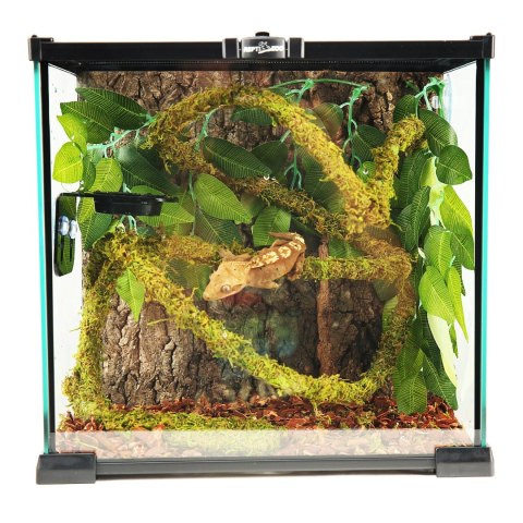 Repti-Zoo Liana z naturalnym mchem 1,5cm x 2m Repti-Zoo Liana z naturalnym mchem 1,5cm x 2m