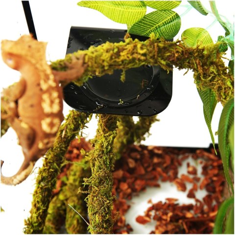 Repti-Zoo Liana z naturalnym mchem 1,5cm x 2m Repti-Zoo Liana z naturalnym mchem 1,5cm x 2m