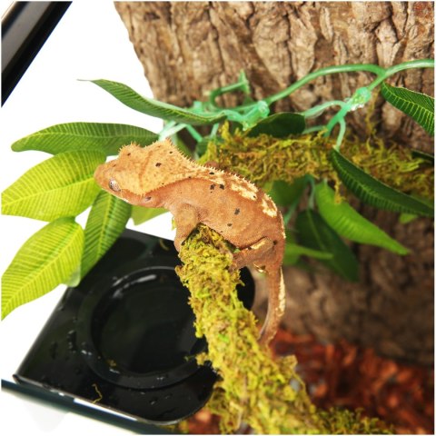 Repti-Zoo Liana z naturalnym mchem 1cm x 2m Repti-Zoo Liana z naturalnym mchem 1cm x 2m