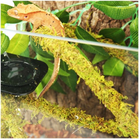 Repti-Zoo Liana z naturalnym mchem 1cm x 2m Repti-Zoo Liana z naturalnym mchem 1cm x 2m
