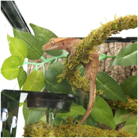 Repti-Zoo Liana z naturalnym mchem 2cm x 2m Repti-Zoo Liana z naturalnym mchem 2cm x 2m