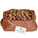 Terrario Natural Bowl S - Miska do Terrarium 8x7x2,5 cm