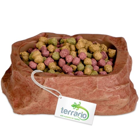 Terrario Natural Bowl S - Miska do Terrarium 8x7x2,5 cm Terrario Natural Bowl S - Miska do Terrarium 8x7x2,5 cm