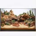 Terrario Natural Bowl S - Miska do Terrarium 8x7x2,5 cm