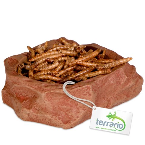 Terrario Natural Bowl S - Miska do Terrarium 8x7x2,5 cm Terrario Natural Bowl S - Miska do Terrarium 8x7x2,5 cm