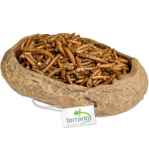 Terrario Rock Oasis M - Miska do Terrarium 14,5x11,5x3,5 cm Terrario Rock Oasis M - Miska do Terrarium 14,5x11,5x3,5 cm