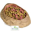 Terrario Rock Oasis S - Miska do Terrarium 10x6,5x2,5 cm