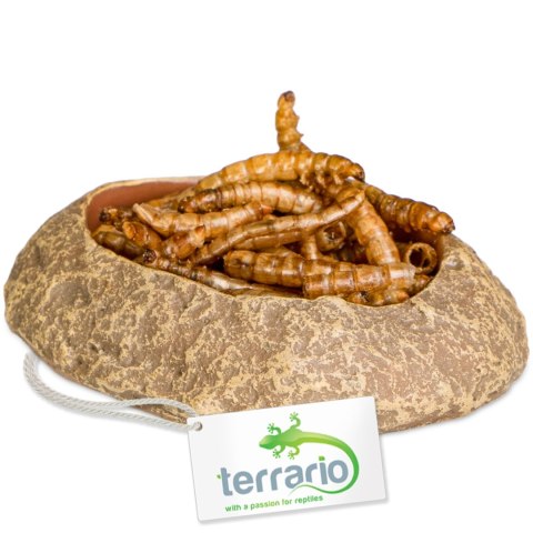 Terrario Rock Oasis XS - Miska do Terrarium 5,5x4x1 cm Terrario Rock Oasis XS - Miska do Terrarium 5,5x4x1 cm